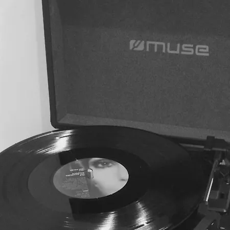 Carnot Chic * Carcassonne