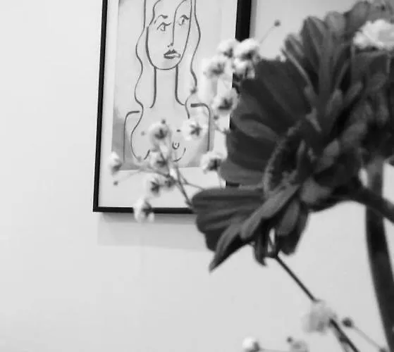Carnot Chic